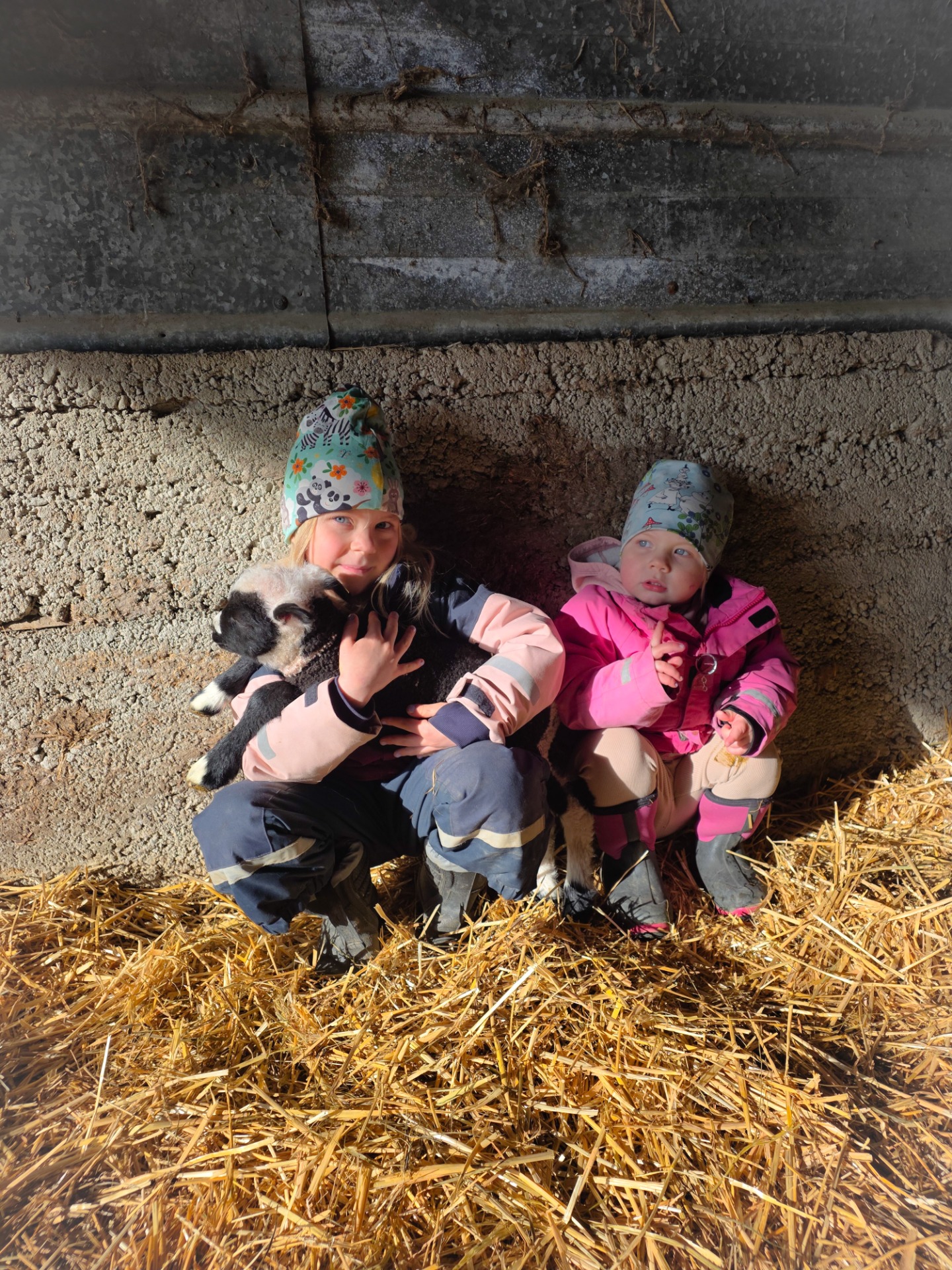 Lamm-mys hör våren till